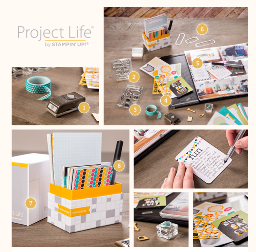 Project Life comes to Stampin Up!  with Wendie Bee of Stamp Right Up