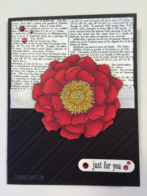 Cherry Cobbler Blendabilities Blended Bloom by Wendie Bee of Stamp Right Up Canadian Stampin Up Demonstrator